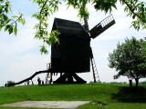 Bockwindmühle in Libehna