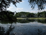Naturschutzgebiet Cösitzer Teich