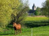 blick-auf-kirchturm.jpg