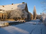 Robert-Koch-Straße im Winter