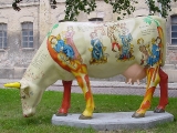 Sachsenspiegel-Kuh auf dem Schlossplatz