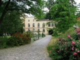 Im Garten der Lutzeklinik