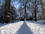 Der Schlosspark im Winter