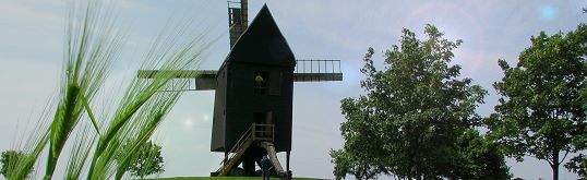 Bockwindmühle in Libehna