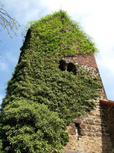 Romanischer Turm der Dorfkirche in Reppichau
